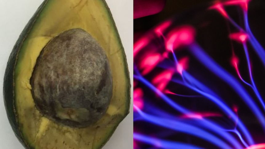 Composite image -avocado and cold plasma