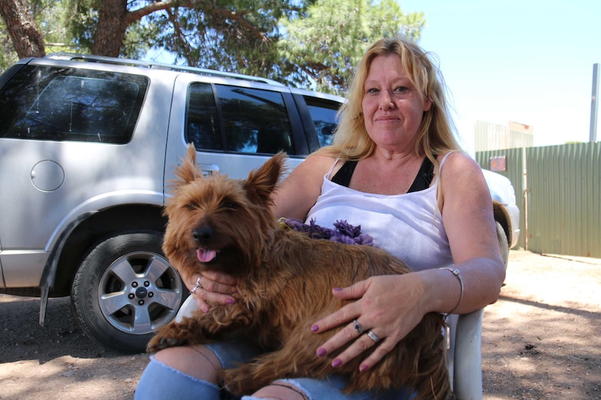 Rusty the Australian terrier sits in the lap of Heather Reid.