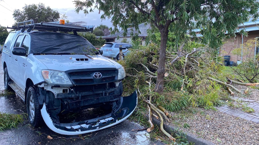 A damaged ute and felled tree branches on a Morphett Vale street.