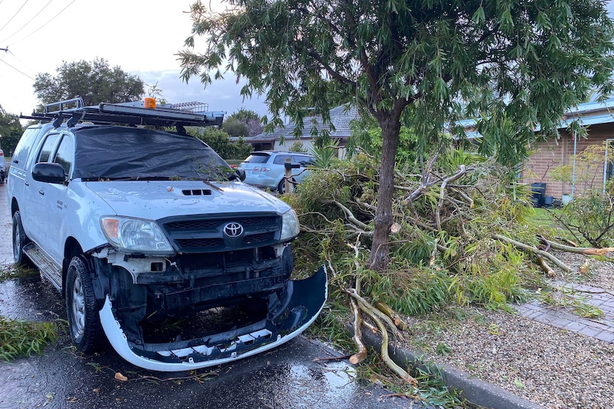 A damaged ute and felled tree branches on a Morphett Vale street.