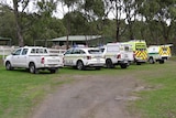 A ute, police cars and ambulances on lawn near stables