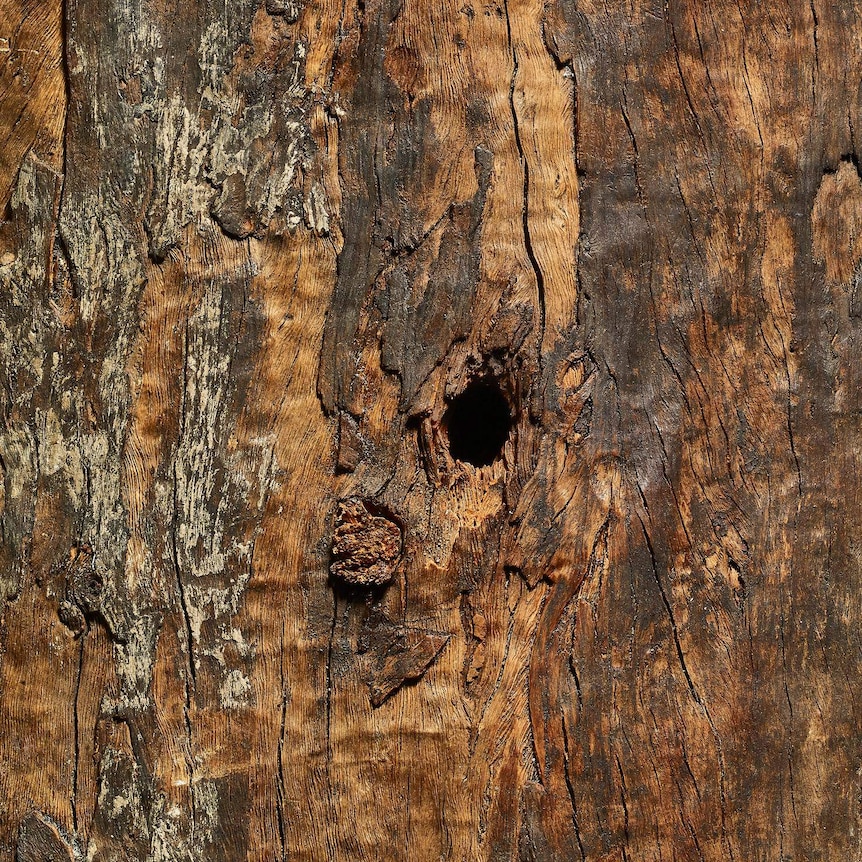 A close-up shot of a wooden shield and a hole in its centre.
