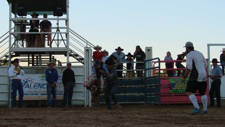 A man holds a young rider sitting on a poddy calf as the calf runs in the rodeo arena at Adelaide River.