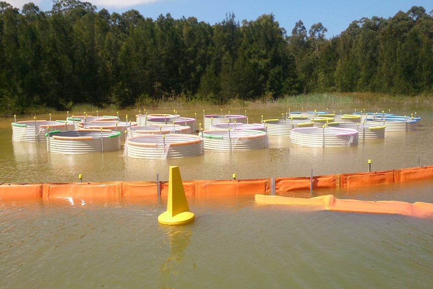 Tanks set up in water for experiment