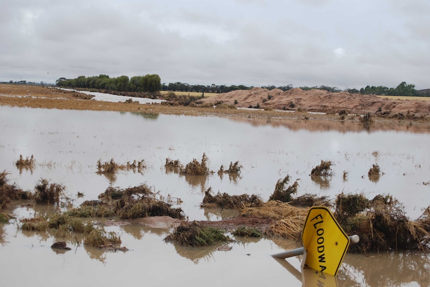 A photo of water spilling over the road near Yorkrakine in WA