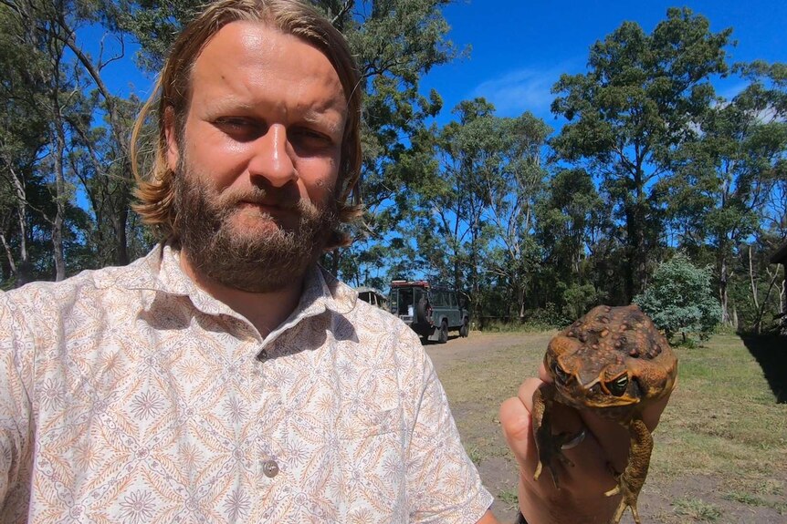 A man holding a cane toad.