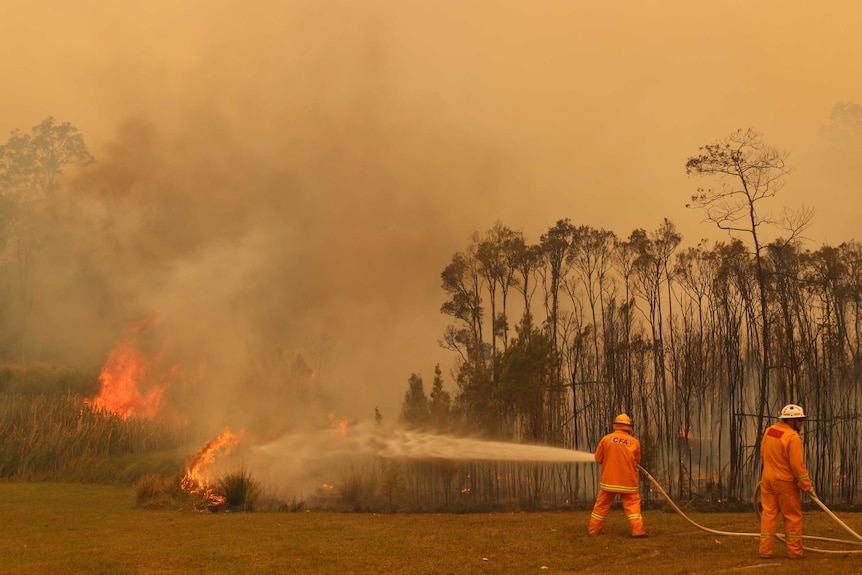 Firefighters blast water on a bushfire. The air is thick with smoke.