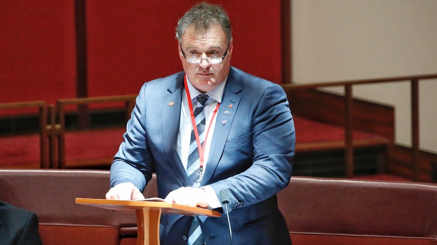 a middle-aged man speaking in a parliament