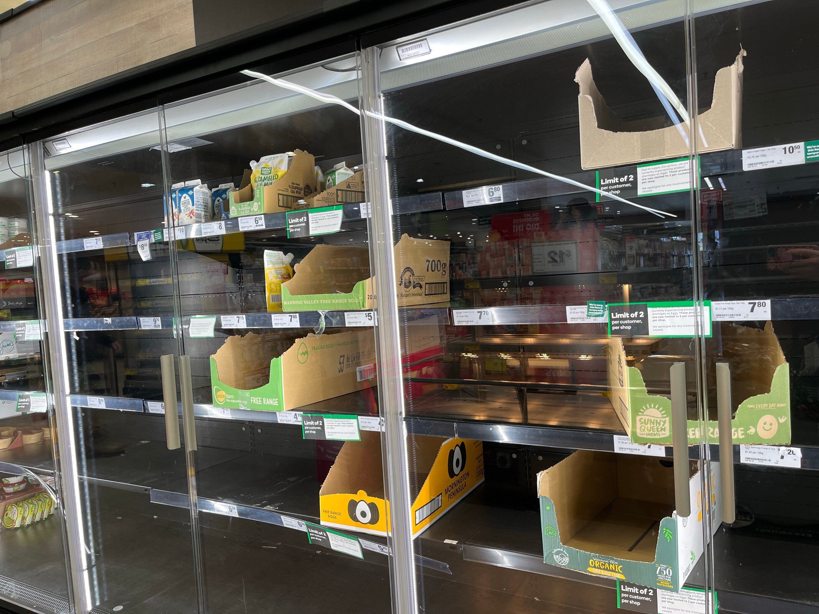 Egg supermarket shelves empty