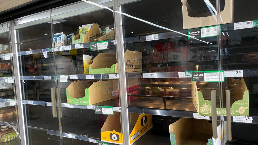Egg supermarket shelves empty