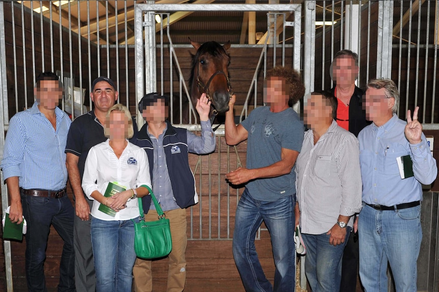 BC3 Thoroughbreds standing with Black Caviar's brother "Jimmy".