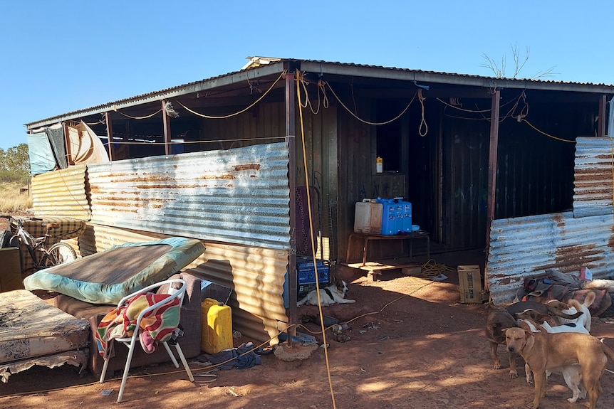 A ramshackle home made of corrugated iron, in a desert landscape.