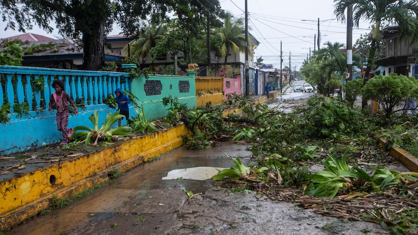 Two children walk on a footpath next to a road covered with fallen trees. 