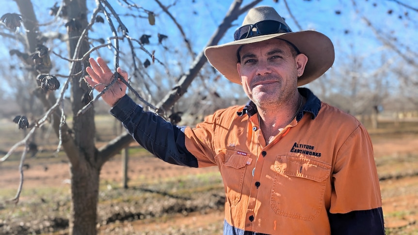 A fair-skinned man, Dave, in an orange hi-vis shirt and akubra smiles and leans on a pecan tree.
