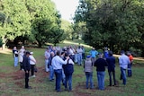 Forty macadamia growers on an orchard listening to a farmer speak.