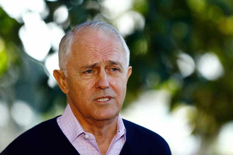 Malcolm Turnbull stands underneath a Moreton Bay fig tree speaking to reporters