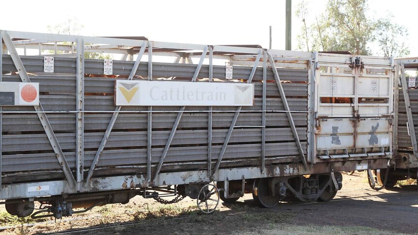 A loaded carriage on the Oakey cattle train