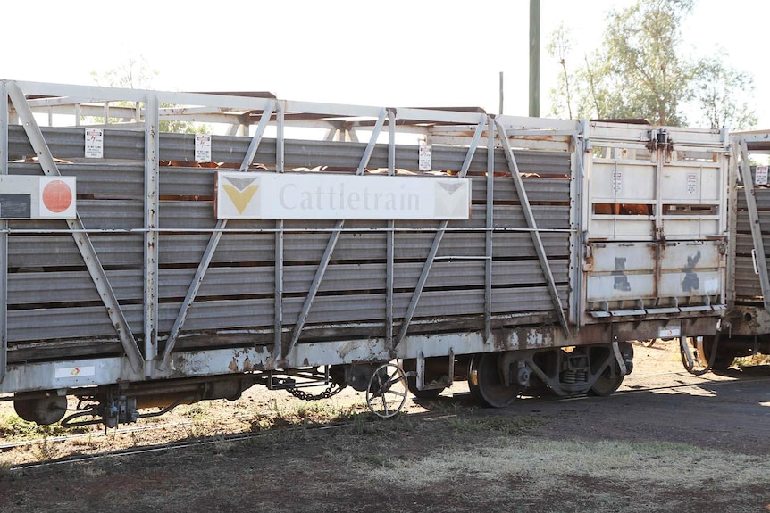 A loaded carriage on the Oakey cattle train