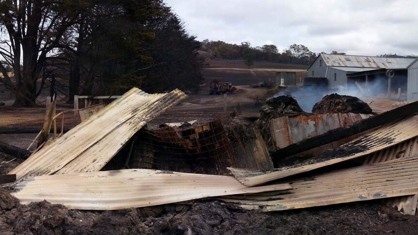Grampians bushfire aftermath