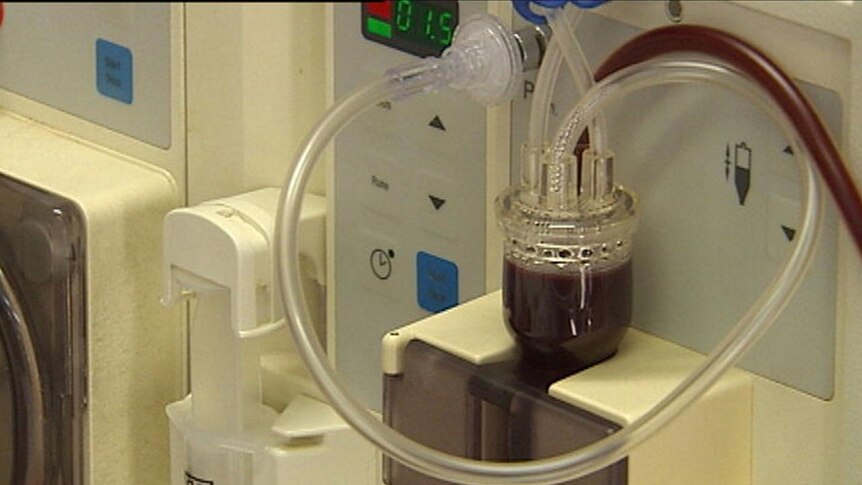 Dialysis agreement ineffective for SA patients
