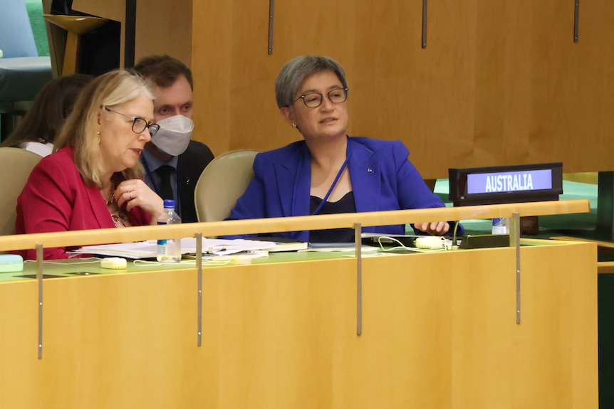 Foreign Minister Penny Wong at the United Nations