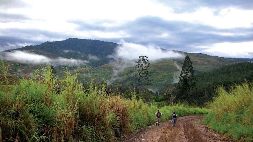 Dirt road near Wau in PNG