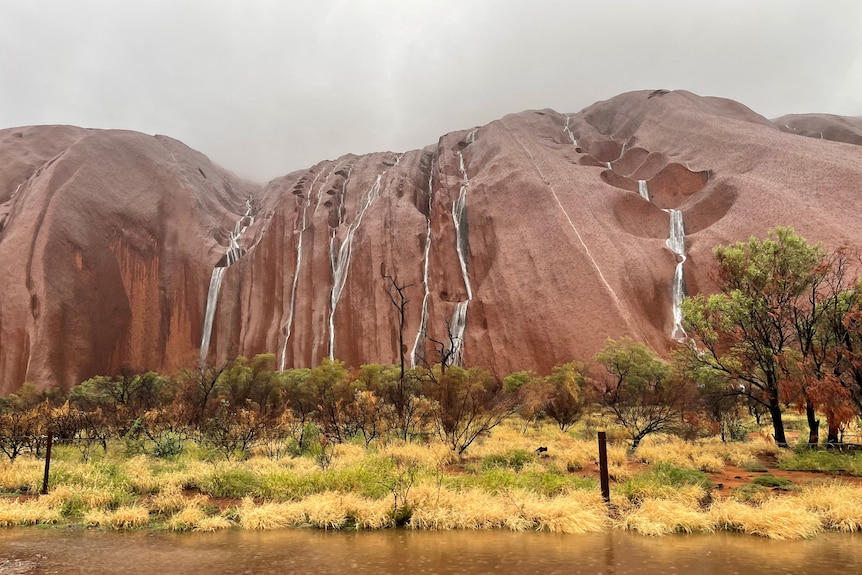 Streams of water running down Uluru in a wide image showing the rock from top to bottom