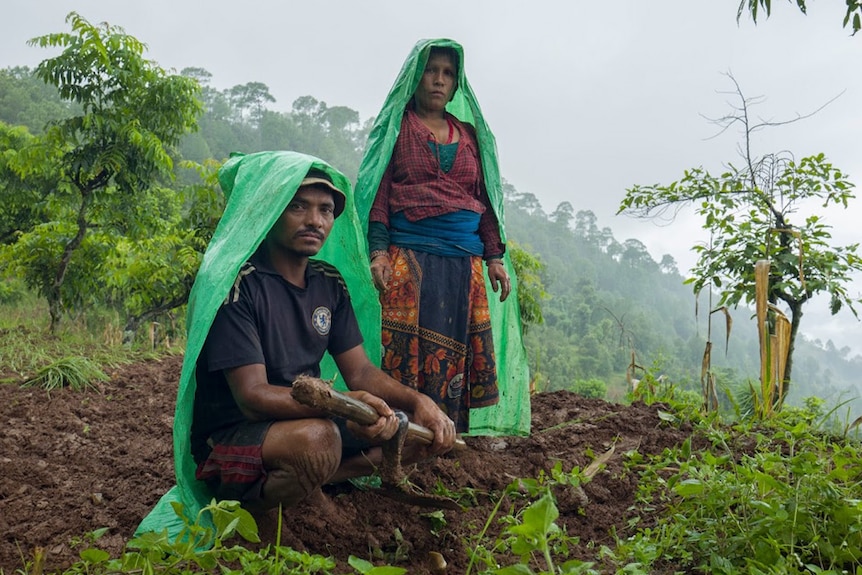 Rice farmers in Nepal