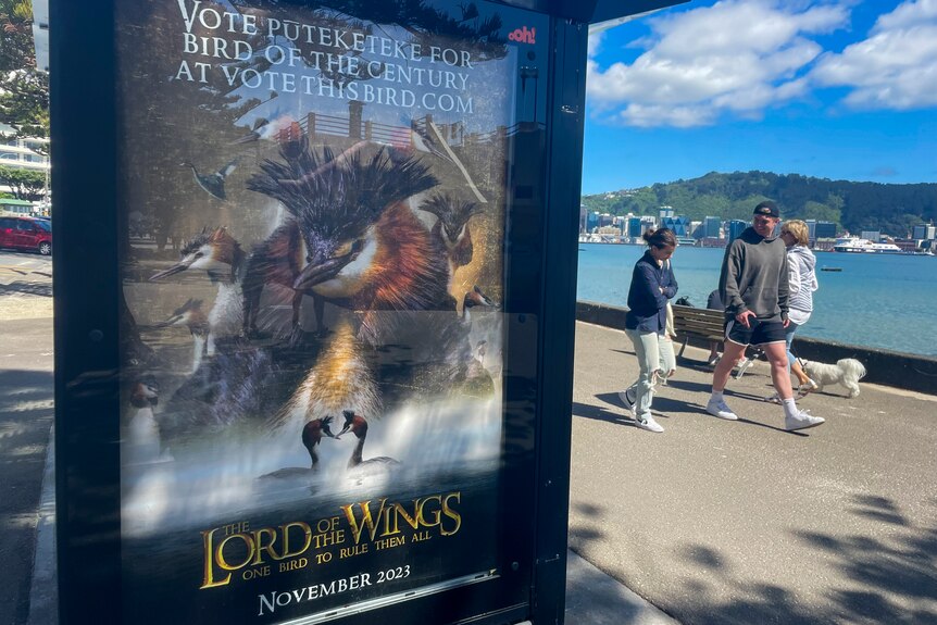 A billboard featuring a bird says Lord of the Wings.