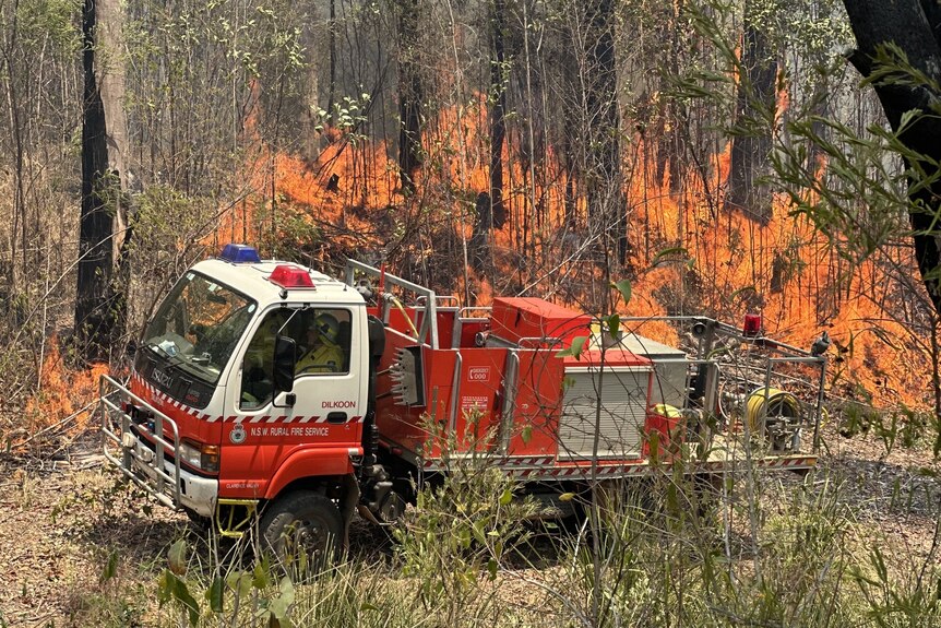 A red R-F-S fire truck in front of burning trees.