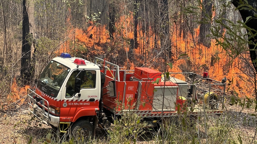 A red R-F-S fire truck in front of burning trees.