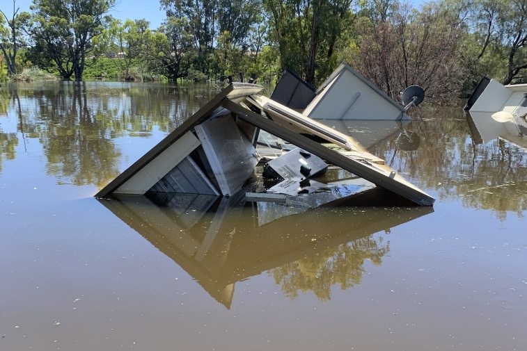Flooded shacks near Blanchetown.