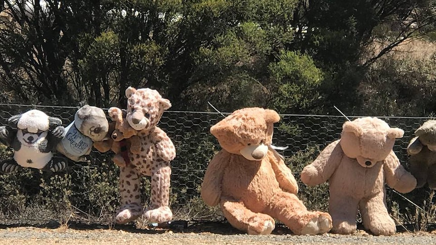 Soft toys tied to a wire fence along the Copper Coast Highway.