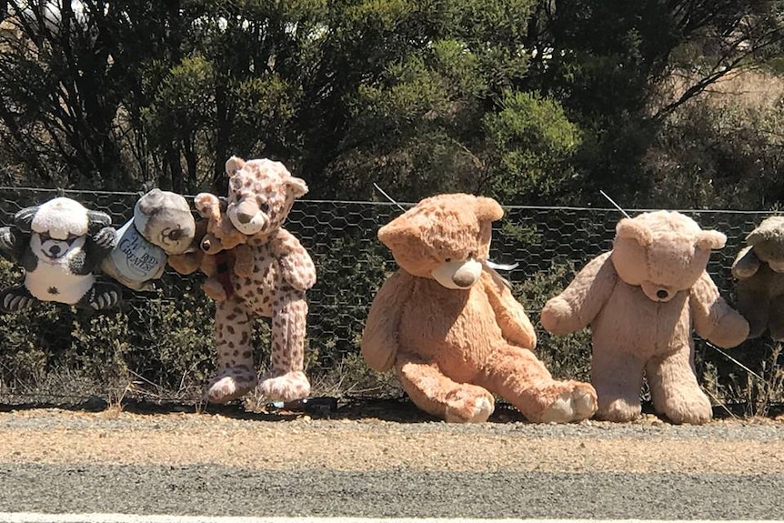 Soft toys tied to a wire fence along the Copper Coast Highway.