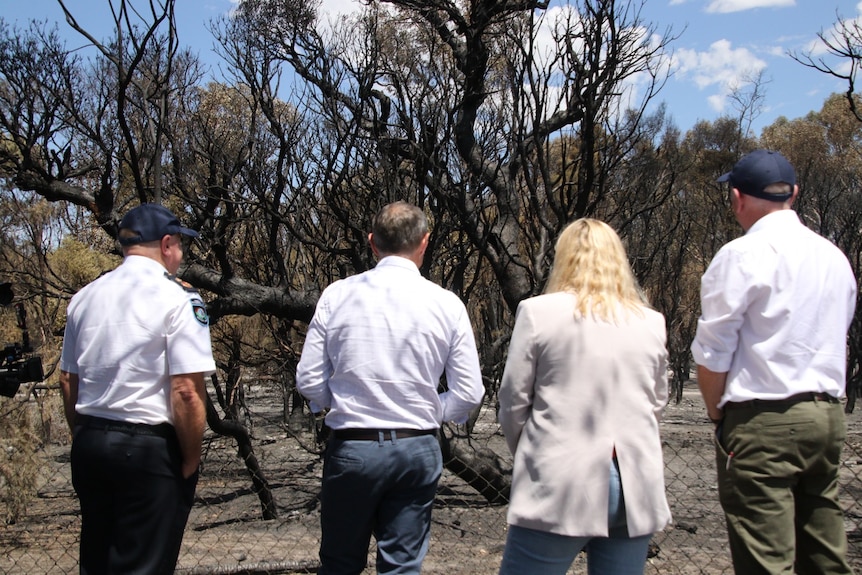 Four people looking at burnt bushland