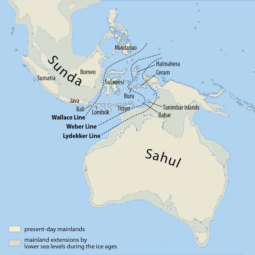 Map of Sunda and Sahul