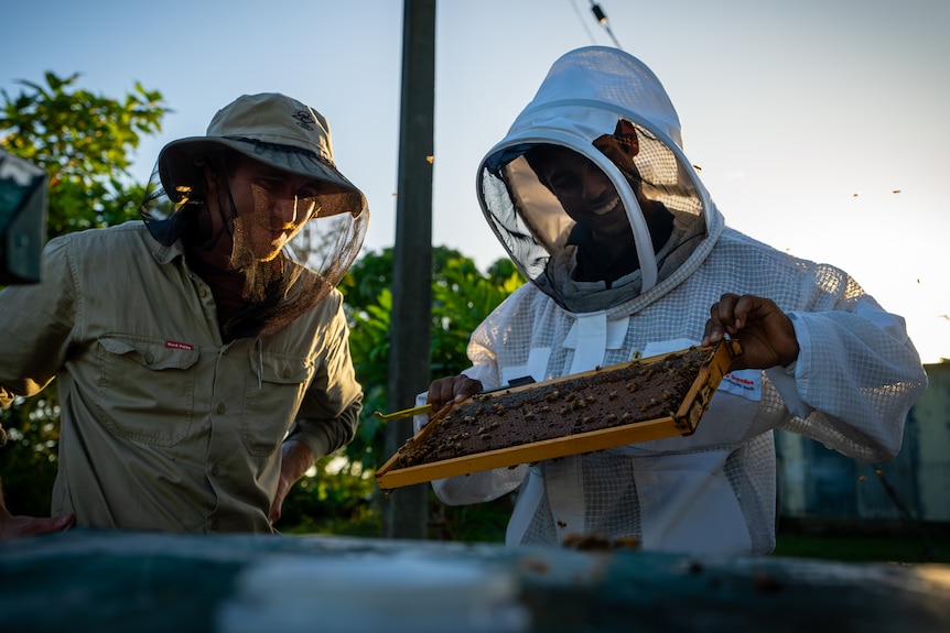 Image of a two men in bee suits looking down at a hive panel.