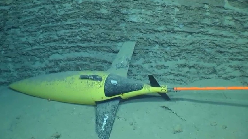 A deep sea remote operated vehicle on Perth Canyon floor