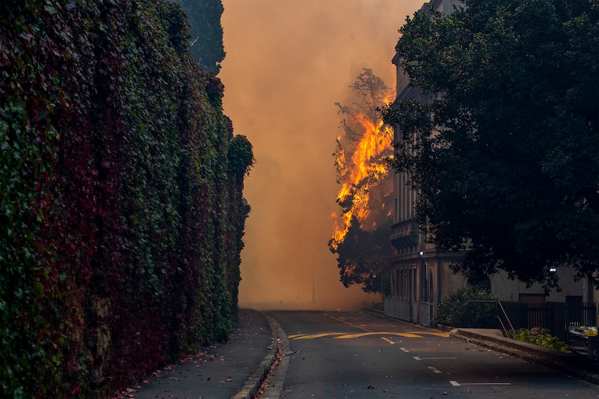 O clădire arde în campusul Universității din Cape Africa de Sud, duminică, 18 aprilie 2021. 