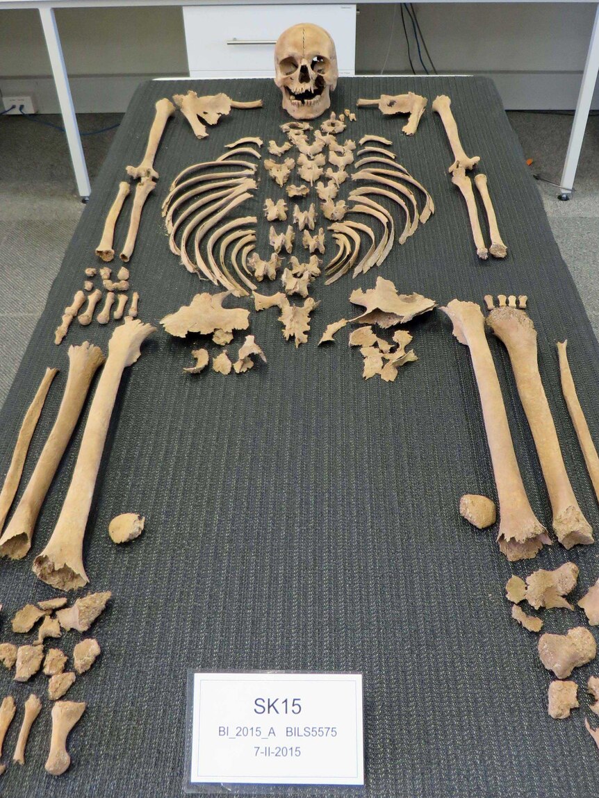 Skeleton found on Beacon Island