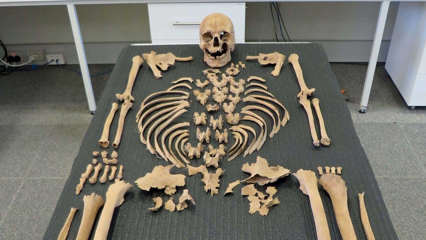 Skeleton found on Beacon Island