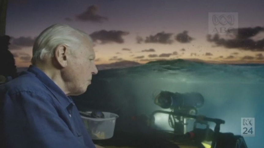 'An ecosystem like no other': David Attenborough explores the Great Barrier Reef