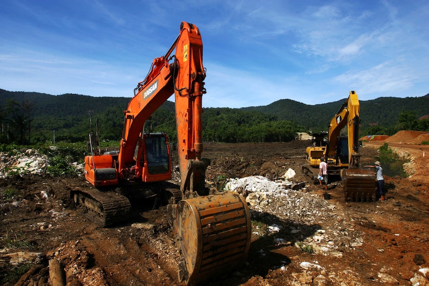 Two excavators surrounded by trees
