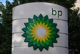A BP flower logo is seen on a service station sign.
