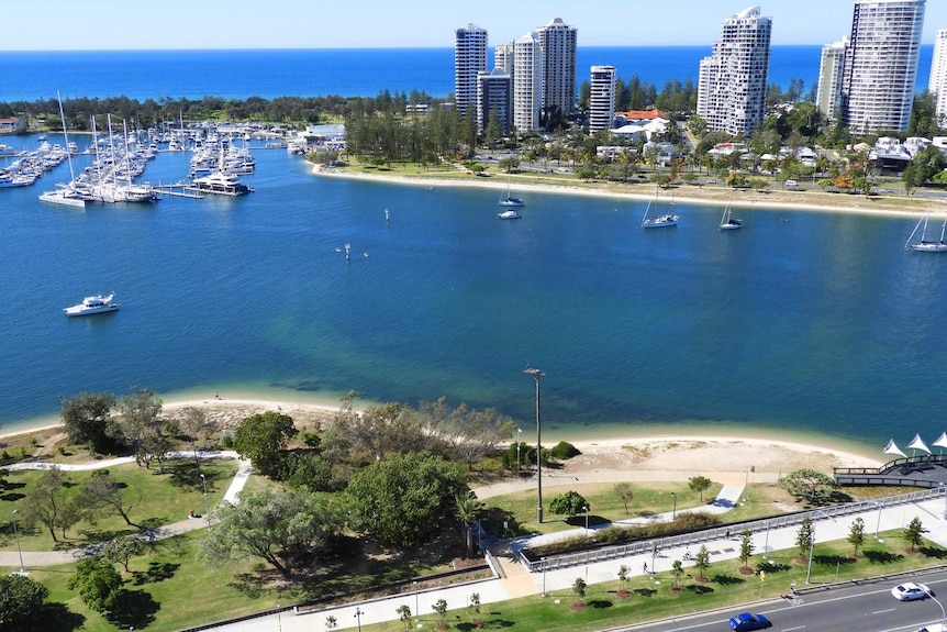 Aerial view of osprey nesting pole beside boats and high-rise buildings on the Gold Coast