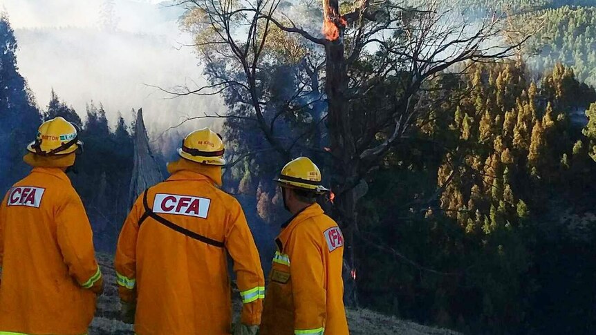 Three CFA firefighters watch as a helicopter flies over smoking forest