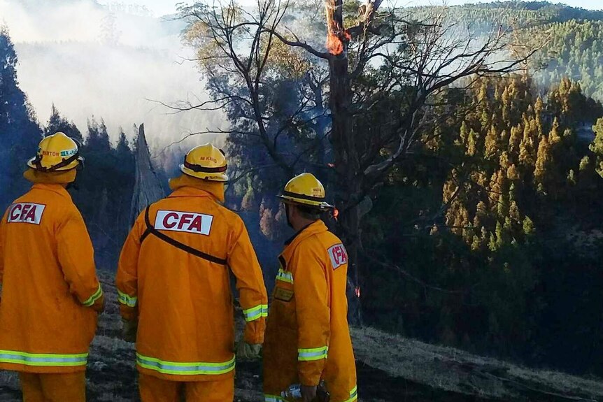 Three CFA firefighters watch as a helicopter flies over smoking forest