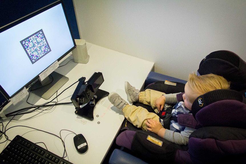 Max Davis sits in a baby seat looking at a computer screen.