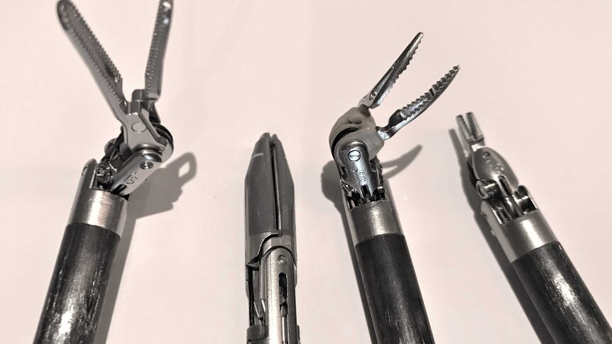 Four dark-coloured rods headed with stainless steel pincers.