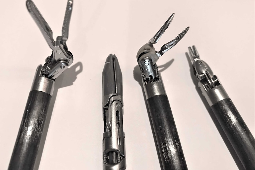 Four dark-coloured rods headed with stainless steel pincers.